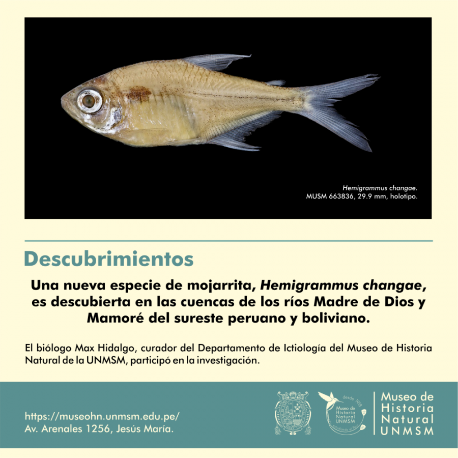 1_descu_mojarra1000.png