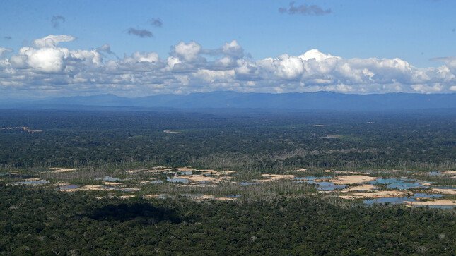 Tambopata1.jpg